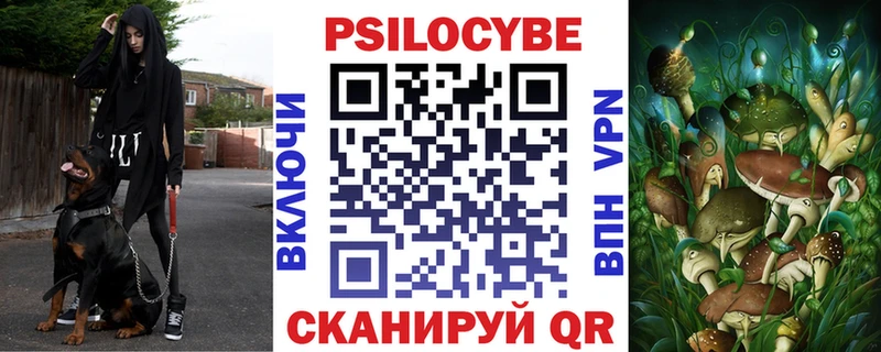 Купить где  Гаджиево  Псилоцибиновые грибы Psilocybine cubensis 